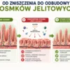 jak-odbudowac-kosmki-jelitowe